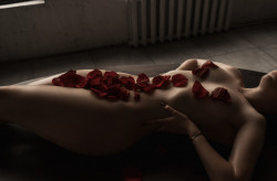 Фото +7 (999) 688-18-83